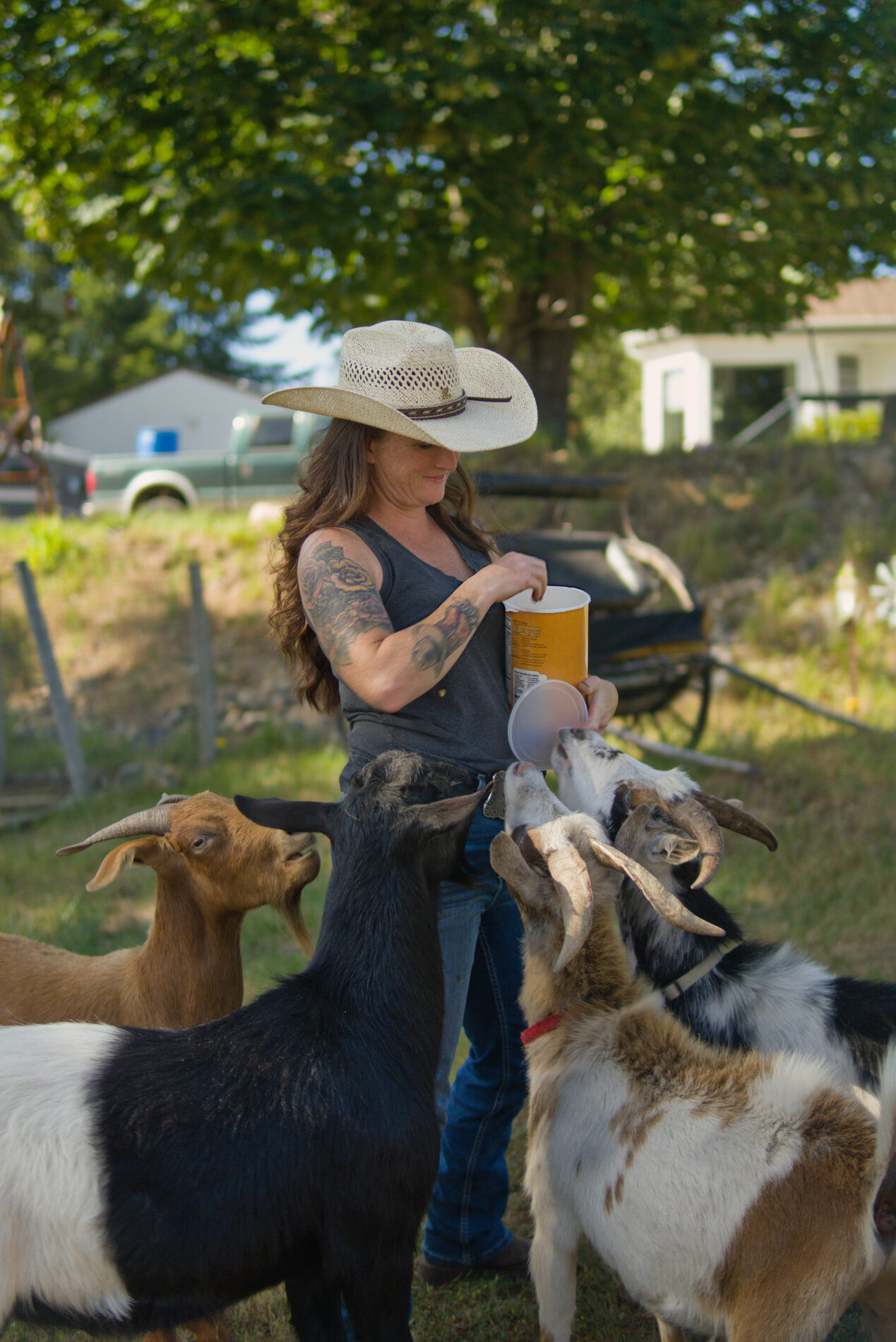 A woman in a cowboy hat feeding a group of friendly goats on the farm